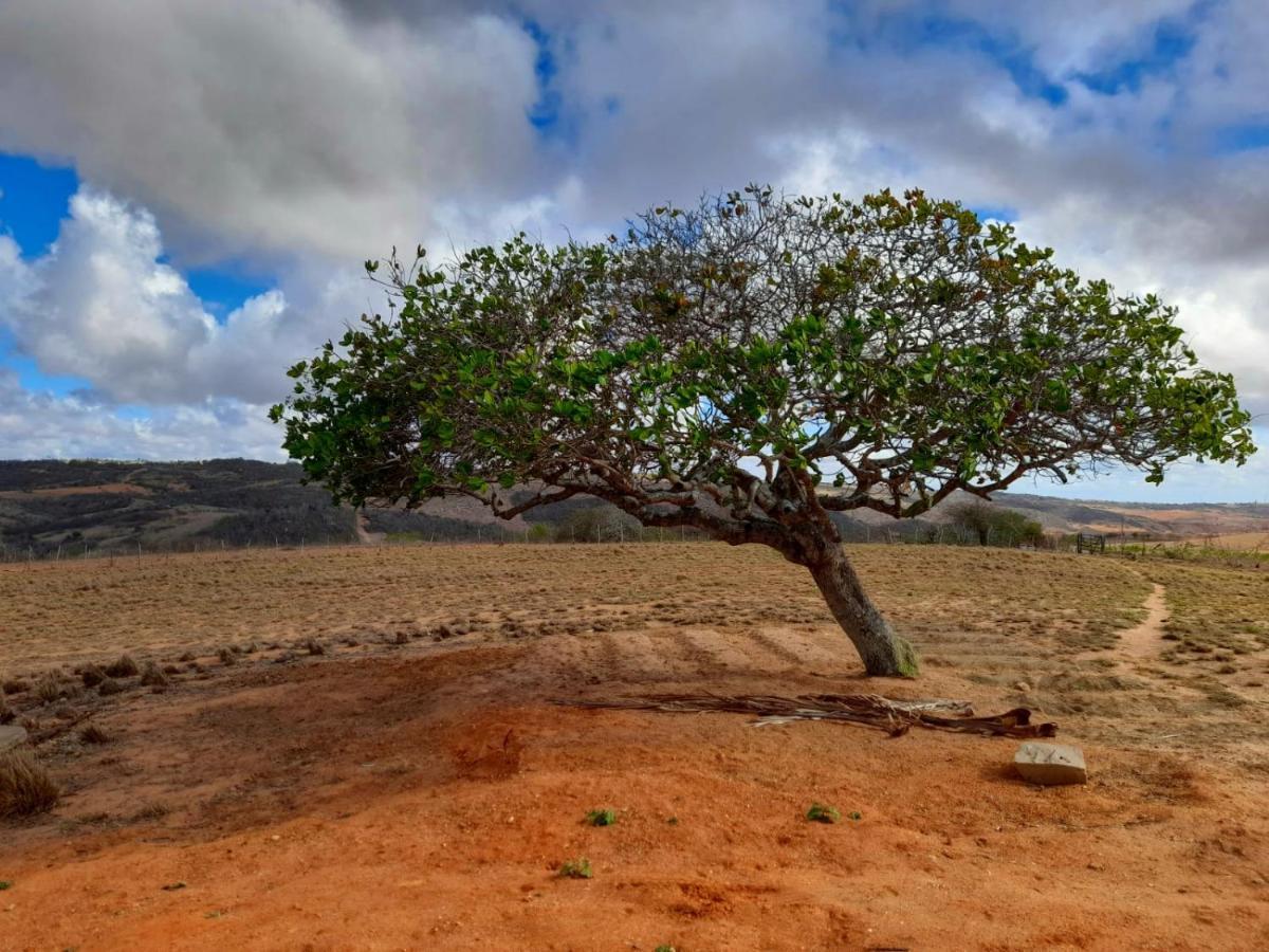 Fazenda Terra Bonita - Trilhas e Passeios a Cavalo - Suítes e Chalés Tipo Flat Serra de São Bento Exterior foto